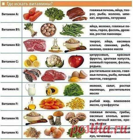 ПРОДУКТЫ ПИТАНИЯ НЕОБХОДИМЫЕ ЧЕЛОВЕКУ.