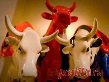 ЖИВОТНОЕ-ТАЛИСМАН по Знаку Зодиака Дата рождения каждого человека во многом определяет дальнейшую судьбу, характер, предназначение в жизни и даже скрытые возможности. Улучшить жизнь представителя определенного Знака Зодиака может животное-талисман, которое связано с ним на ментальном уровне.