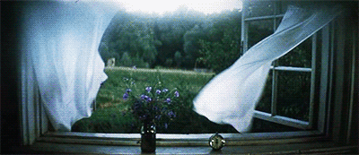 летнее утро