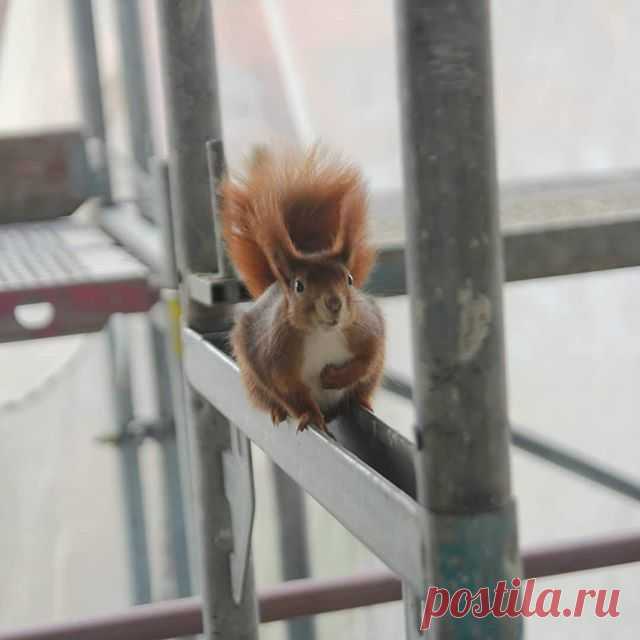 На изображении может находиться: на улице