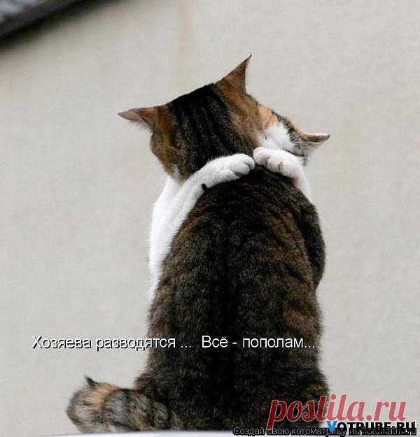 Алена-незабудка — «Все пополам» на Яндекс.Фотках