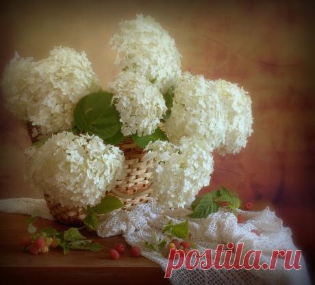 Яндекс.Фотки