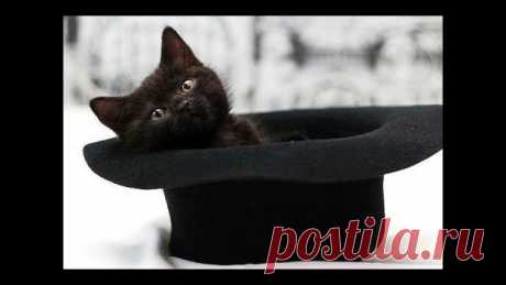 Юрий Пахомов