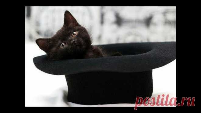 Юрий Пахомов