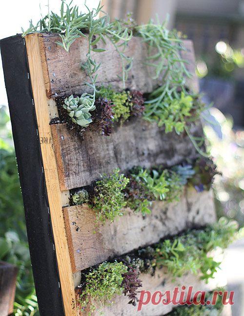 Вертикальная грядка своими руками — Стена из живых цветов « Дача своими руками