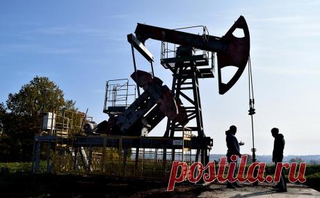 Bloomberg узнал о рекордных поставках российского топлива в Бразилию. Бразилия за полгода повысила импорт российского топлива с 31,6 до 234,9 барр. в день, закупая его со скидкой. Власти вынуждены сдерживать рост цен на топливо, а потому такая возможность стала благом для них, отмечают аналитики