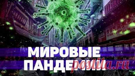 Тест Мировые пандемии. Викторина с ответами 12+