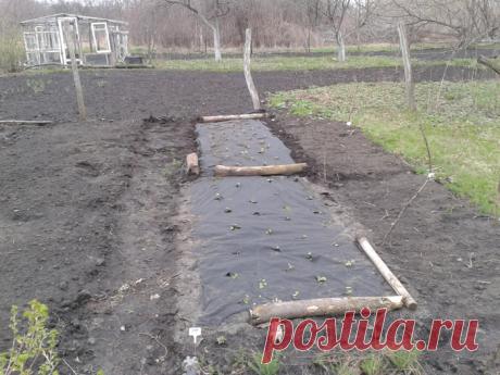 Как  надо использовать черный Агроспан