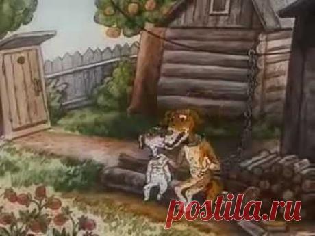 По ходу жизни