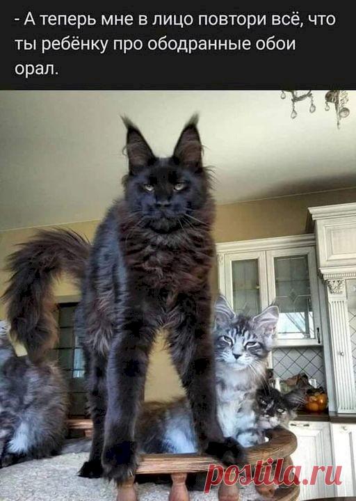 24b21ba2.jpg (512×720)