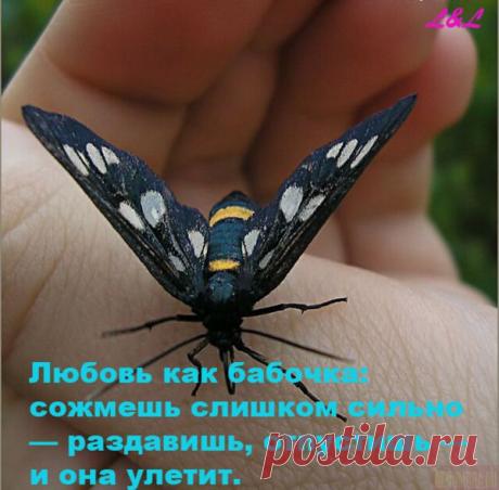 В крупную, широко известную компанию требуются сотрудники на должность информационный
менеджер. Работа ведется полностью через интернет. Опыт не требуется, обучение
бесплатное. Без вложений и продаж. Отличная подработка, а в будущем возможно и
основной заработок (зависит от результатов работы). Интересует?