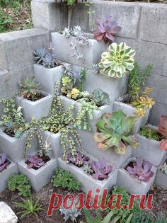 It’s a simple proposition.  Arrange the blocks however you like them.  Then, add dirt and plants. It’s kind of a fool-proof system! Here are some ideas to get you inspired: 1.  Here is an example where they had an existing cinderblock wall (which is not a pretty situation to have in your yard) and they …