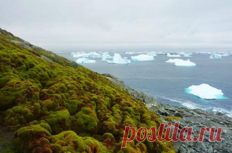 Геологи следят за этим процессом с середины XX века