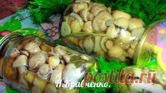 Маринованные молодые шампиньоны - пальчики оближешь! Закрываю десятками банок!