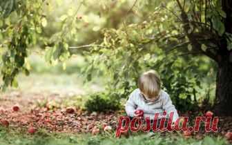 Притча: Яблоня и мальчик Трогательная притча о мальчике и заботливой яблоне.