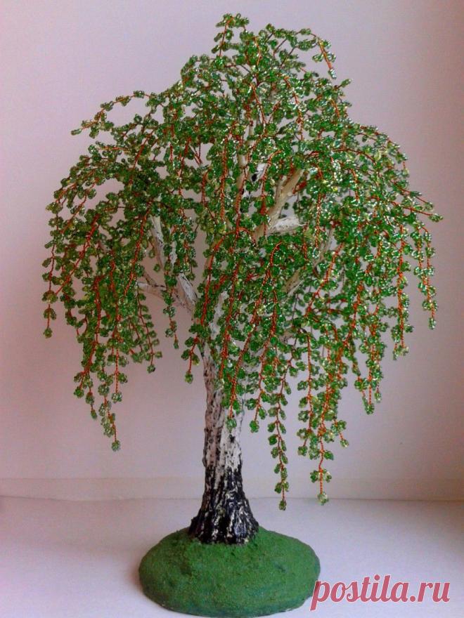 Береза . Высота 27 см . Цена 1500 р.