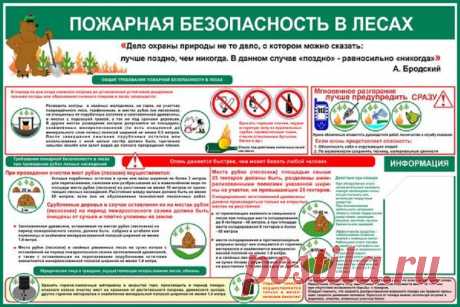 Дачники теперь обязаны обеспечивать пожарную безопасность на лесных участках