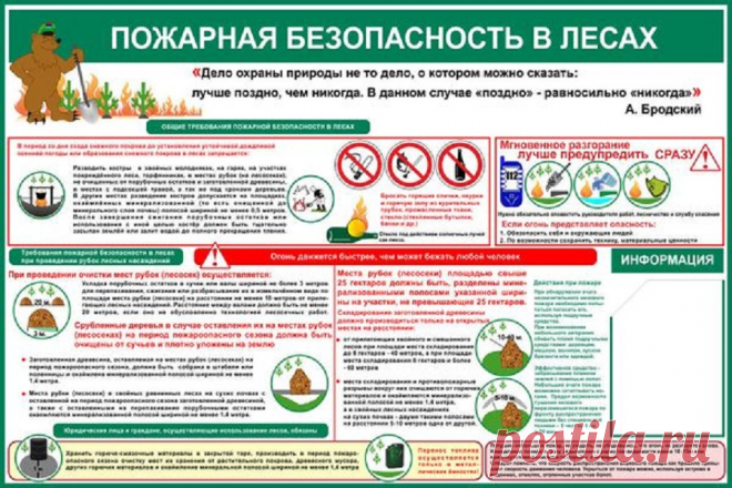 Дачники теперь обязаны обеспечивать пожарную безопасность на лесных участках
