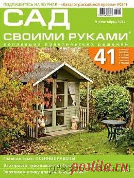 Сад своими руками №9, сентябрь 2017 » Пресса всем - Читать журналы онлайн.