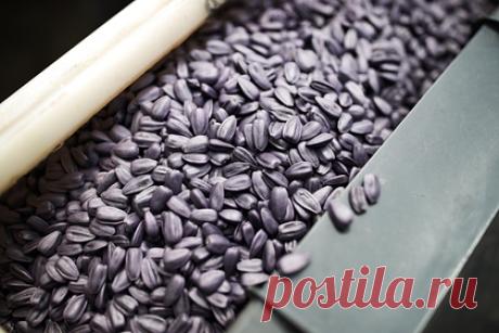 Россиянин украл семечек на 870 тысяч рублей. В Кемерове разнорабочий склада украл со своего же предприятия и продал 365 упаковок семечек. С заявлением в полицию обратился директор склада. Он сообщил, что не досчитался двух поддонов с семечками и двух банок кофе. Общая стоимость похищенного составила 870 тысяч рублей.