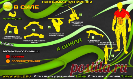 53 тренировочных программы для Начинающих, Продвинутых, Профессионалов и Мастеров от сайта WSILE.RU - WorkOut