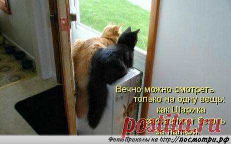 Интересные новости