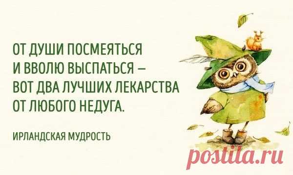 (3461) Твиттер