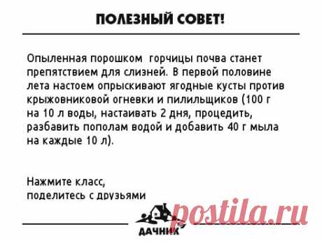 (17) Одноклассники