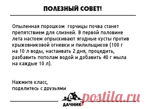 (17) Одноклассники