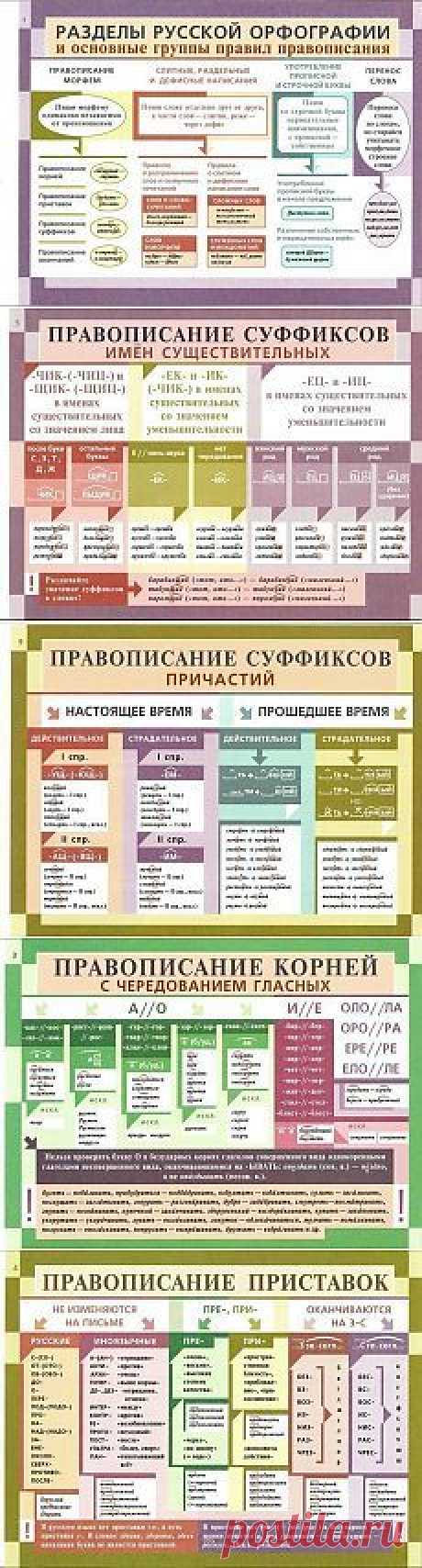 (296) Pinterest