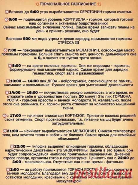 Секреция гормонов по часам.