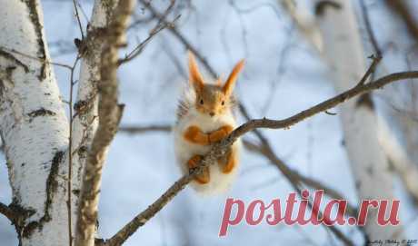 Автор фото: Анатолий Плоцкий
