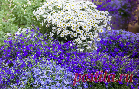 Летне-дачное настроение...