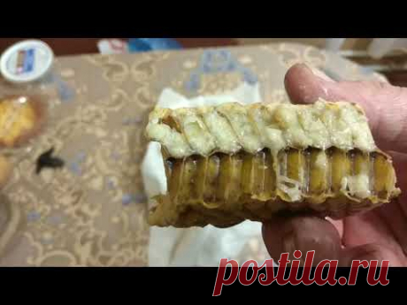 Трутневой гомогенат.