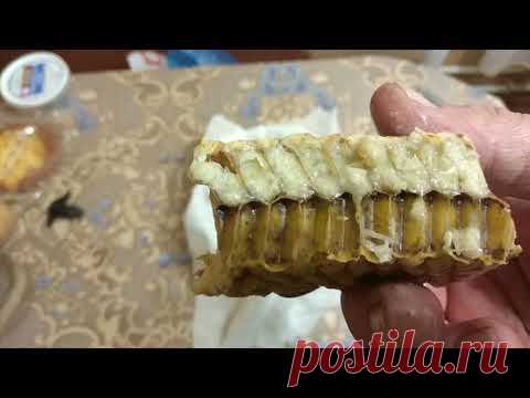 Трутневой гомогенат.
