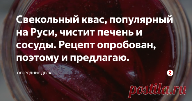 Свекольный квас, популярный на Руси, чистит печень и сосуды. Рецепт опробован, поэтому и предлагаю. Если перечислять все полезные у свекольного кваса свойства, то они составят внушительный список, в статье напишу только про более значимые. На Руси пить свекольный квас было обычным делом, да и сейчас многие потребляют его с удовольствием. Адреса в организме нет, поэтому полезные свойства кваса воздействуют на все органы человека, но для пищевода польза особая.
Если страдаете запорами и вздутием ж