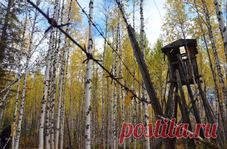 Автомобильный тур по арктическим зимникам появился в Якутии | Туризм