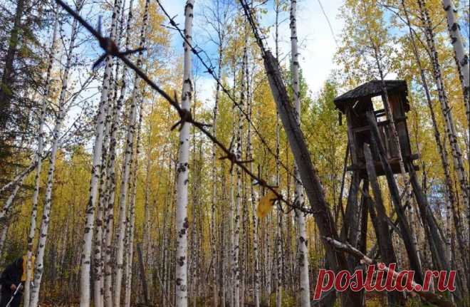 Автомобильный тур по арктическим зимникам появился в Якутии | Туризм