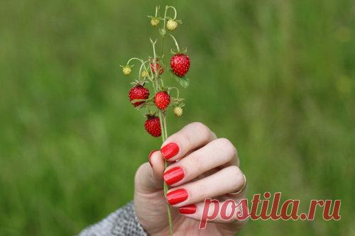 Как ухаживать за руками | Эффективное похудение. Все виды диет