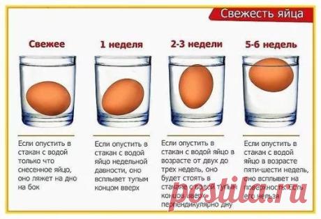 Google+