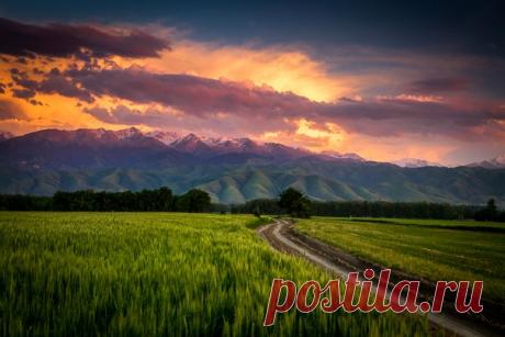 Горный хребет Заилийский Алатау, Казахстан. Автор фото — Анатолий Вейнгарт: