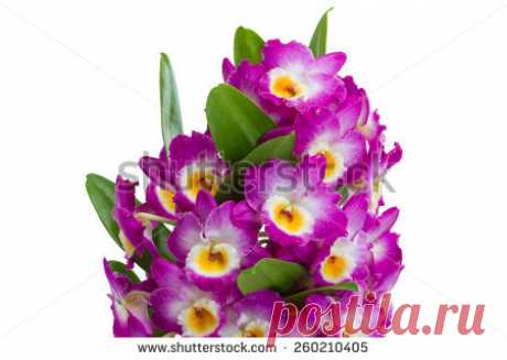 Bouquet Flowers Happy Birthday Imagen De Archivo (stock) 744240841 - Shutterstock