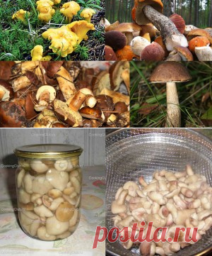 Рецепт консервированных грибов | Мир Женщины