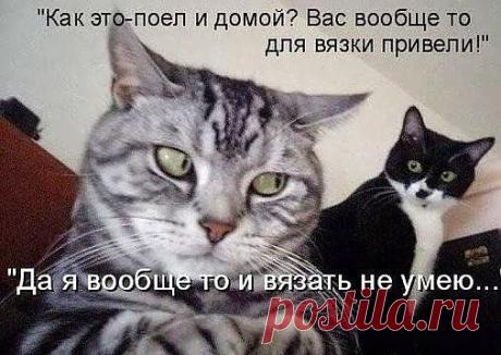 Мой Мир@Mail.Ru