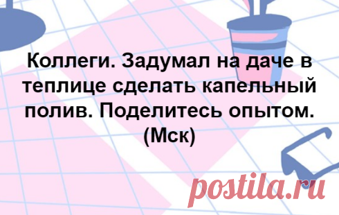 Советы по капельному поливу для новичков и бывалых дачников