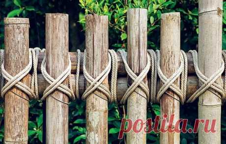 Зонирование участка с помощью перегородок и условных границ
Ваш сад красив, но несколько хаотичен? Попробуйте структурировать пространство, и тогда оно обретет гармоничный и законченный вид. Для этого надо всего лишь зонировать дачный участок, визуально выде…