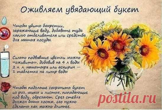 Сохраняем красоту!