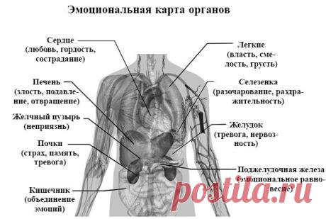 Эмоциональная карта органов