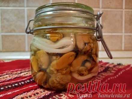 Маринованные мидии (кальмары)