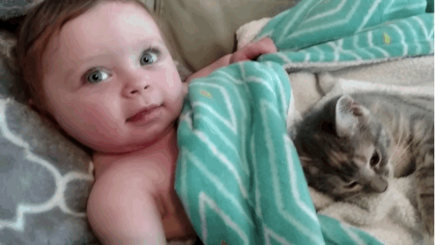 anigif_original-27980-1449701549-4.gif (625×352)